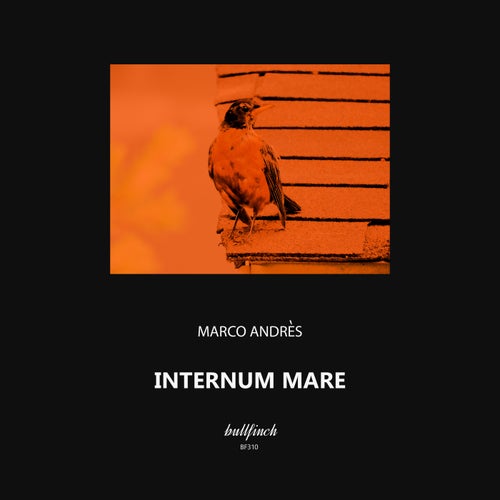 Marco Andrès - Internum Mare [BF310]